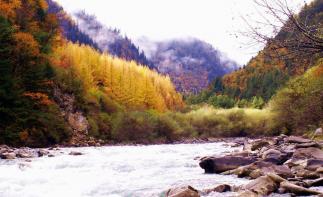 成都出发阿坝奶子沟2日自驾游：羊绒哈德-奶子沟-鹧鸪山2日自驾游自驾游