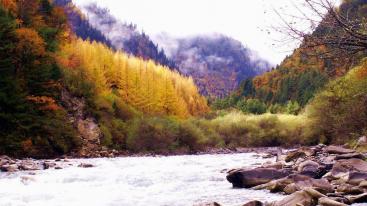 成都出发阿坝奶子沟2日自驾游：羊绒哈德-奶子沟-鹧鸪山2日自驾游-推荐