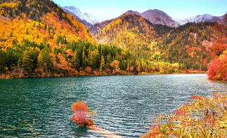 全國出發(fā)川西9天自駕游：米亞羅-畢棚溝-丹巴藏寨-金川紅葉谷9天川西休閑自駕游自駕游