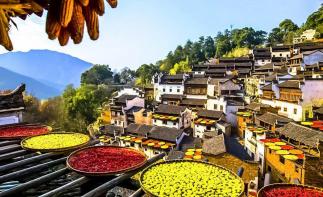 南昌出发婺源2日自驾游：篁岭晒秋-李坑-江湾古镇2日赏秋自驾自驾游