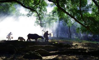 北京出發(fā)福建9日自駕游：武夷山-景德鎮(zhèn)-楊家溪-狼山9日自駕自駕游