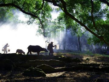 北京出发福建9日自驾游：武夷山-景德镇-杨家溪-狼山9日自驾
