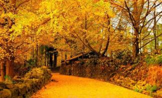 北京出發(fā)云南落地10日自駕：騰沖-瑞麗-芒市-昆明10日自駕自駕游