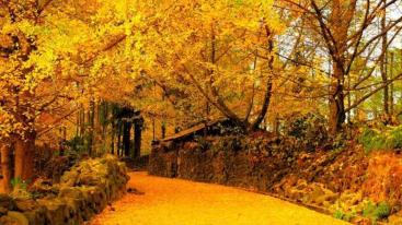 北京出发云南落地10日自驾：腾冲-瑞丽-芒市-昆明10日自驾-推荐