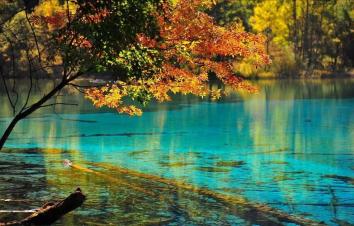 重庆出发九寨沟4日自驾游：秋冬童话人间天堂九寨沟-瑶池黄龙环线4日自驾游-游推荐