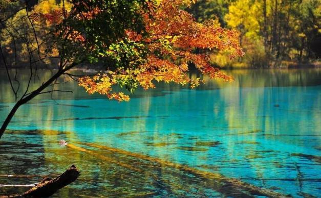 重庆出发九寨沟4日自驾游：秋冬童话人间天堂九寨沟-瑶池黄龙环线4日自驾游