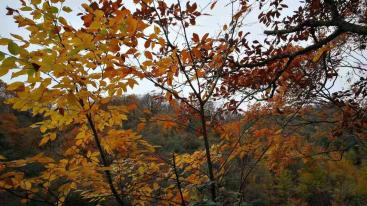 重庆周边3日自驾游：光雾山-十八月潭-米仓山3日赏红叶自驾游-推荐