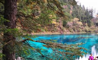 重慶出發(fā)九寨溝4日自駕游：蘿卜羌寨-九寨溝-黃龍4日川西休閑自駕游自駕游