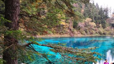 重庆出发九寨沟4日自驾游：萝卜羌寨-九寨沟-黄龙4日川西休闲自驾游-推荐