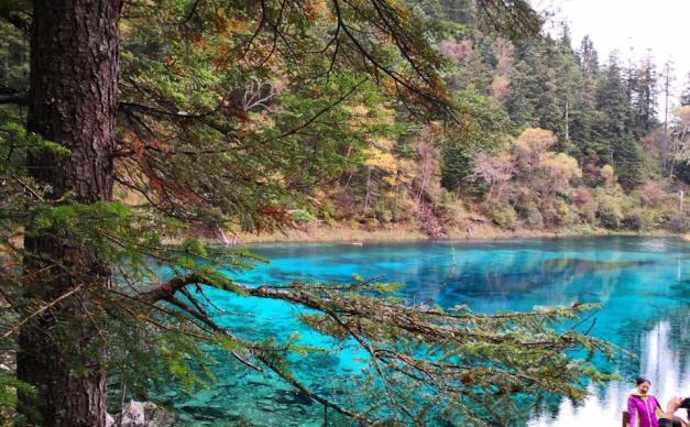 重庆出发九寨沟4日自驾游：萝卜羌寨-九寨沟-黄龙4日川西休闲自驾游