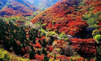北京出發(fā)河北山東8日自駕：石頭村、西柏坡、白鹿溫泉、王硇村8日自駕自駕游