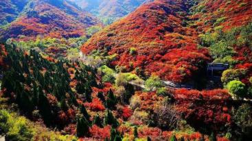 北京出发河北山东8日自驾：石头村、西柏坡、白鹿温泉、王硇村8日自驾-推荐