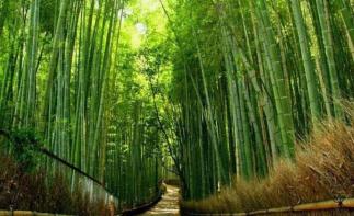 北京出发河南6日自驾：秋沟、地坑院、死海运城盐湖、王府竹海6日自驾自驾游