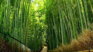 北京出发河南6日自驾：秋沟、地坑院、死海运城盐湖、王府竹海6日自驾-推荐