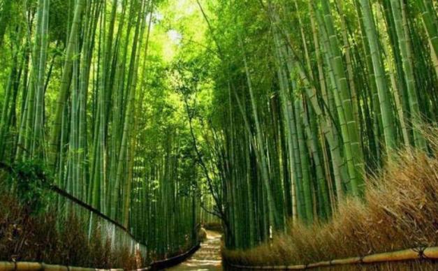 北京出发河南6日自驾：秋沟、地坑院、死海运城盐湖、王府竹海6日自驾