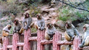 北京出发山西5日自驾：陈家沟，五龙口，皇城相府，平遥古城5日自驾-推荐