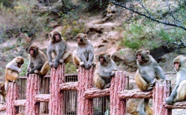 北京出发山西5日自驾：陈家沟，五龙口，皇城相府，平遥古城5日自驾