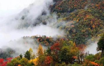 西安出发2日陕西周边自驾游：青峰峡+尚境温泉2日周末休闲自驾游-游推荐