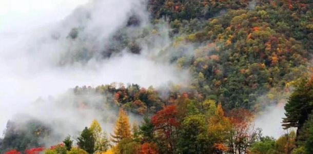 西安出发2日陕西周边自驾游：青峰峡+尚境温泉2日周末休闲自驾游自驾游