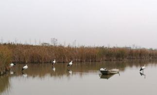 北京出发江苏6日自驾游：美龄宫-秦淮河-总统府-穹窿山6日自驾游自驾游