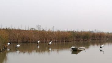 北京出发江苏6日自驾游：美龄宫-秦淮河-总统府-穹窿山6日自驾游-推荐