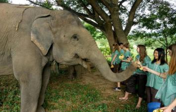 磨憨集合泰北8日自驾游：清迈亲子活动-金三角8日亲子自驾之旅-游推荐
