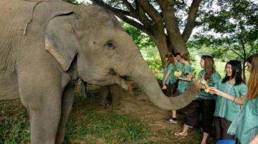 磨憨集合泰北8日自駕游：清邁親子活動-金三角8日親子自駕之旅-推薦