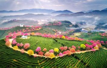 北京出發(fā)自駕福建南京9日游：永福櫻花-南靖土樓-福建霞浦-廈門鼓浪嶼-原始海上漁村風(fēng)光-南京夫子廟-游推薦