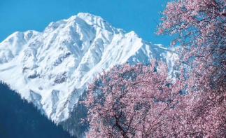 江西南昌出發(fā)西藏17日自駕游：G318川藏線-林芝桃花節(jié)-G109青藏線天路自駕自駕游