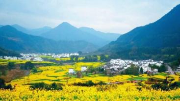 北京出发安徽8日自驾游：西海-瑶里古镇-石城-婺源油菜花8日自驾游-推荐