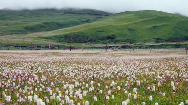 成都出发川藏线包车游：川藏318-泸定桥-姊妹湖-天路72拐-然乌湖-拉萨9日游-推荐