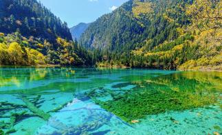 重慶出發(fā)川北阿壩4日自駕游：千佛崖-昭化古鎮(zhèn)-閬中古城-九寨溝4日自駕游自駕游