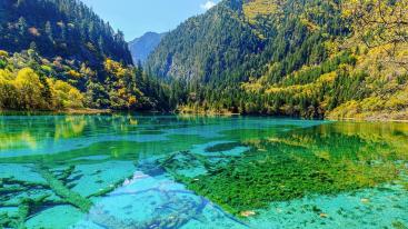 重庆出发川北阿坝4日自驾游：千佛崖-昭化古镇-阆中古城-九寨沟4日自驾游-推荐