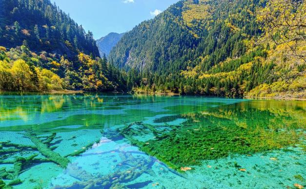 重庆出发川北阿坝4日自驾游：千佛崖-昭化古镇-阆中古城-九寨沟4日自驾游