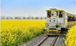 山东出发兰陵2日游：兰陵农业公园-压油沟最美山村休闲2日游自驾游