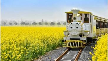 山东出发兰陵2日游：兰陵农业公园-压油沟最美山村休闲2日游-推荐