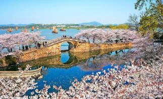 山東出發(fā)江南賞花4日游 ：興化跺田花海-黿頭渚賞櫻花-拈花灣禪意小鎮(zhèn)4日自駕游自駕游