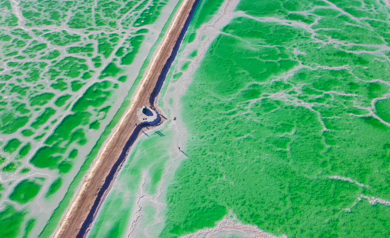 山东出发甘南西北藏区14日自驾游：可可西里-三江源无人区-柴达木魔鬼城14日探秘绝美秘境自驾游