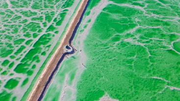 山东出发甘南西北藏区14日自驾游：可可西里-三江源无人区-柴达木魔鬼城14日探秘绝美秘境-推荐