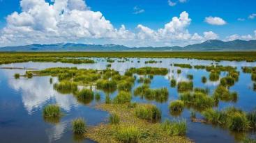 山东出发甘南川西8日自驾游：扎尕那-郎木寺-花湖-黄龙秘境8日探秘之旅-推荐