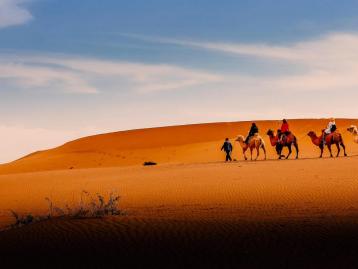 山东出发西北宁夏7日自驾游：腾格里沙漠-镇北堡西部影城--水洞沟藏兵洞7日西北自驾游