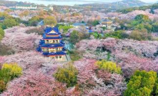  山東出發(fā)江蘇揚(yáng)州5日自駕游：李中水上森林-荷蘭花海-瘦西湖-拈花灣5日自駕江南自駕游