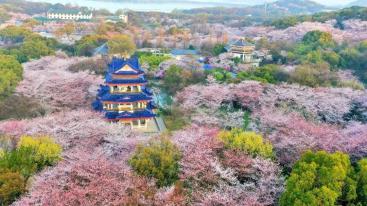  山东出发江苏扬州5日自驾游：李中水上森林-荷兰花海-瘦西湖-拈花湾5日自驾江南-推荐