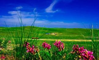 山东出发内蒙乌拉盖草原6日自驾游：野狼谷-布林泉-九曲湾-玉龙沙湖-北戴河6日草原自驾游自驾游