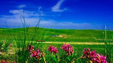 山东出发内蒙乌拉盖草原6日自驾游：野狼谷-布林泉-九曲湾-玉龙沙湖-北戴河6日草原自驾游-推荐