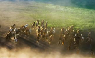 山東出發(fā)內蒙古12日自駕游：呼倫貝爾-錫林郭勒-阿爾山-滿洲里-五大連池12日草原自駕游自駕游