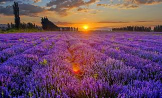 烏魯木齊起止伊犁8日落地自駕：S101公路-獨庫公路-伊昭公路-賽里木湖-喀拉峻大草原8日游自駕游