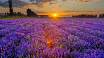 乌鲁木齐起止伊犁8日落地自驾：S101公路-独库公路-伊昭公路-赛里木湖-喀拉峻大草原8日游-推荐