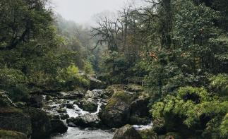 成都周邊2日自駕游：龍蒼溝賞花-探秘千年砂器2日周末自駕游自駕游