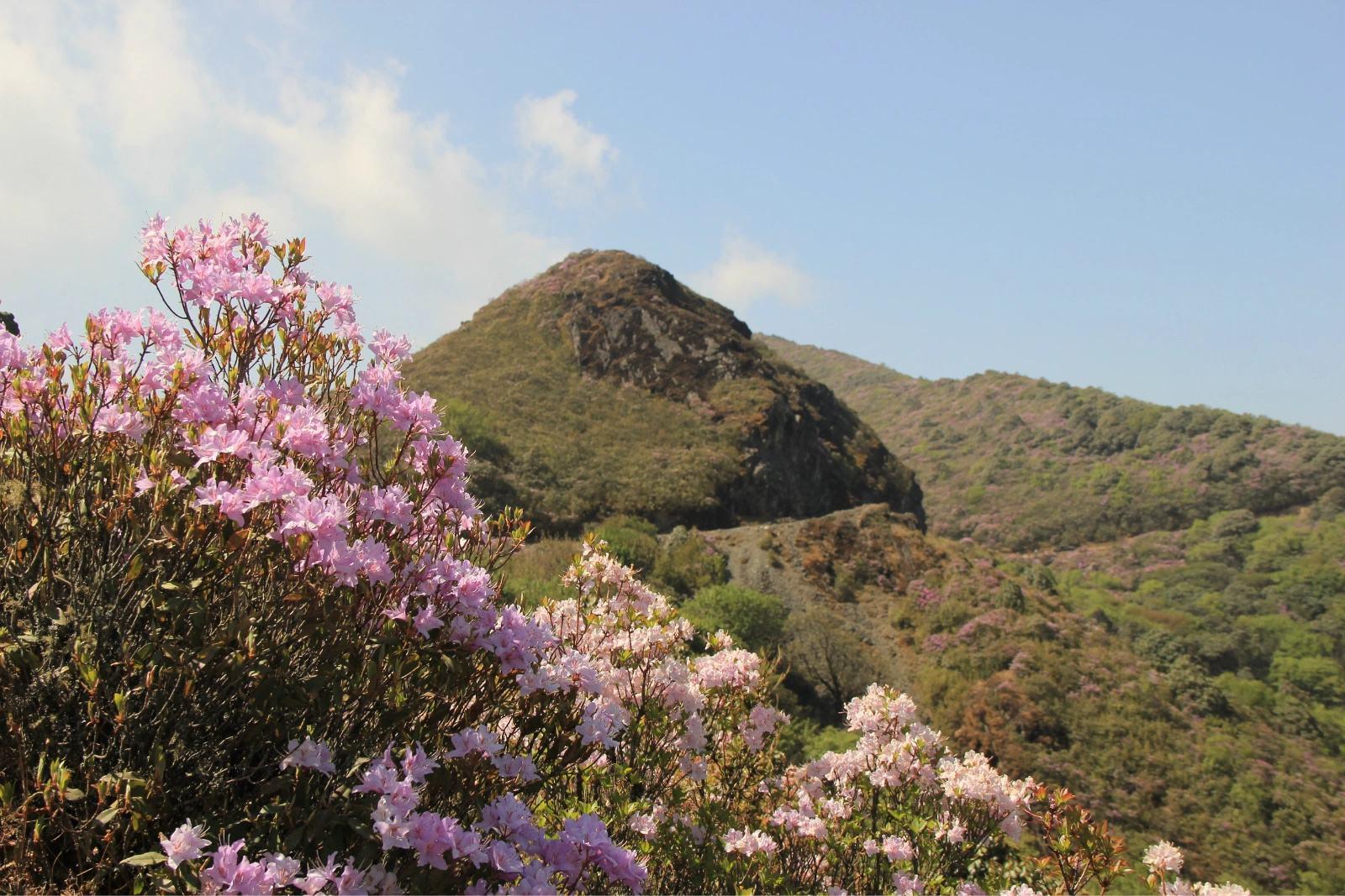 成都周边4日自驾游：邛海-马湖-大凉山赏索玛花4日自驾游自驾游